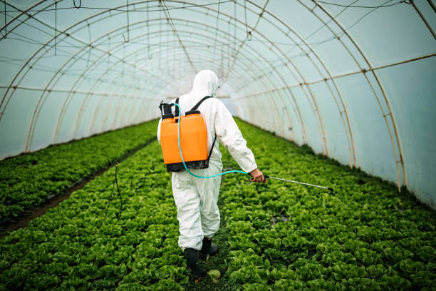Trusted Golden Valley, MN Pest Control Experts