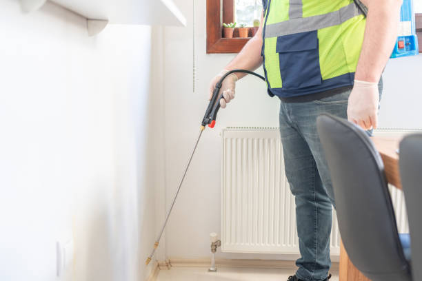 Best Termite Control Services  in Golden Valley, MN