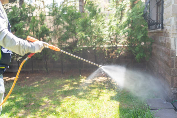 Best Affordable Pest Control Services  in Golden Valley, MN