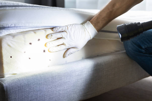 Pest Control for Restaurants in Golden Valley, MN