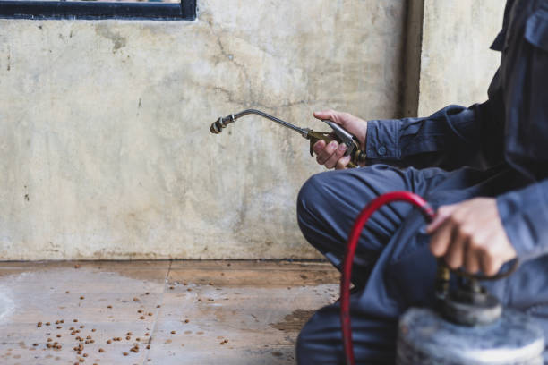 Best Wasp Removal Services  in Golden Valley, MN